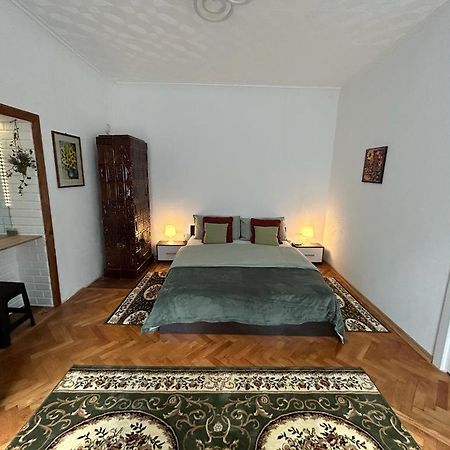 Guest House Rusu 布拉索夫 外观 照片