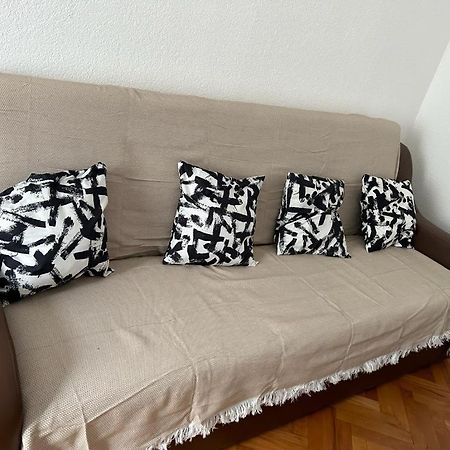 Guest House Rusu 布拉索夫 外观 照片