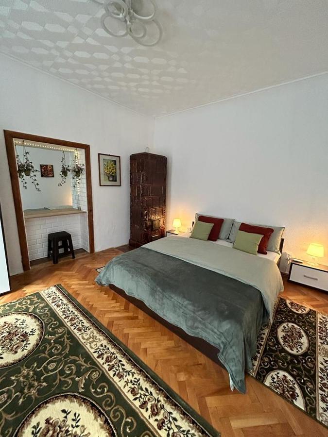 Guest House Rusu 布拉索夫 外观 照片