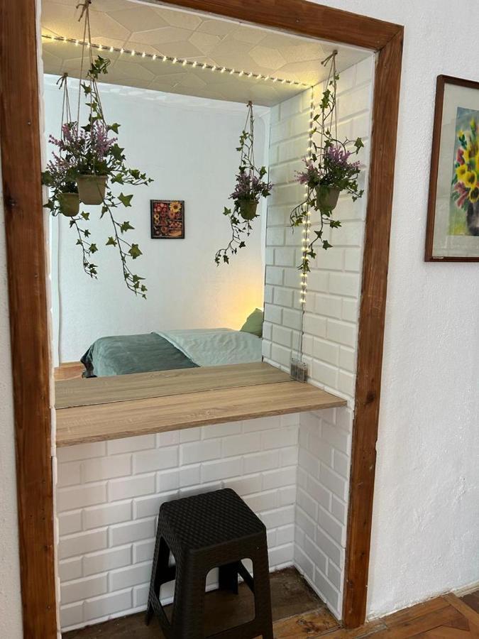 Guest House Rusu 布拉索夫 外观 照片