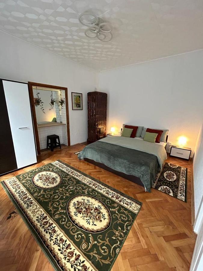 Guest House Rusu 布拉索夫 外观 照片