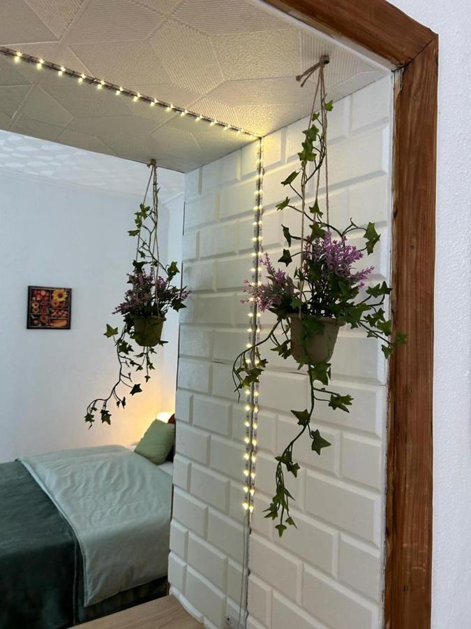 Guest House Rusu 布拉索夫 外观 照片