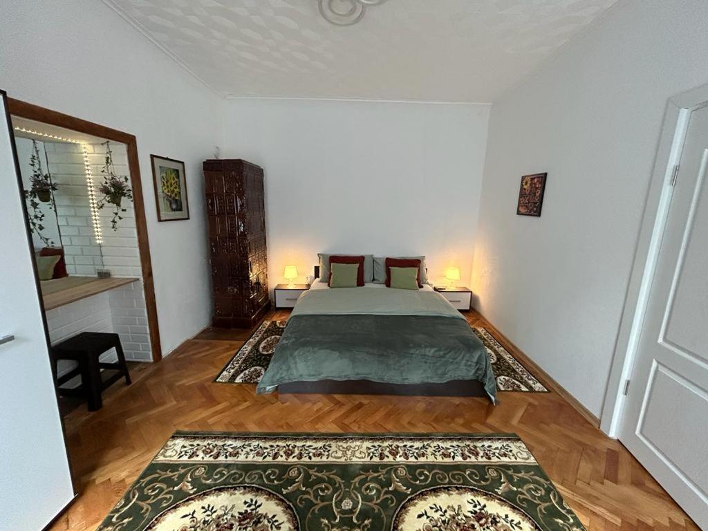Guest House Rusu 布拉索夫 外观 照片