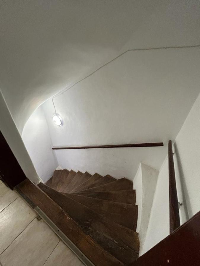 Guest House Rusu 布拉索夫 外观 照片