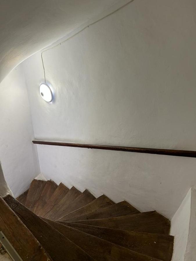 Guest House Rusu 布拉索夫 外观 照片