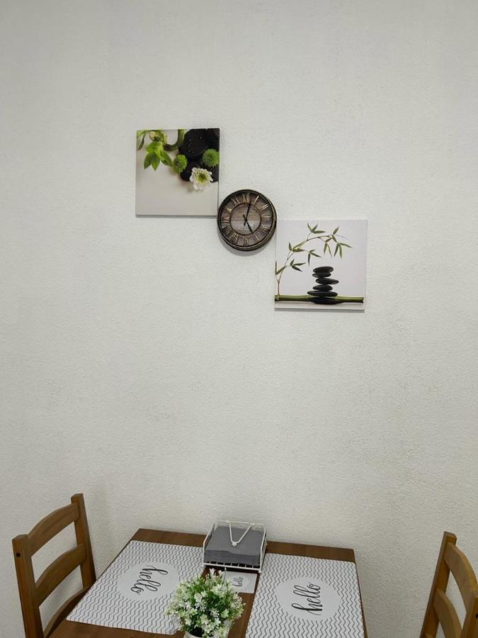 Guest House Rusu 布拉索夫 外观 照片
